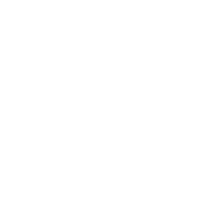 The leela logo